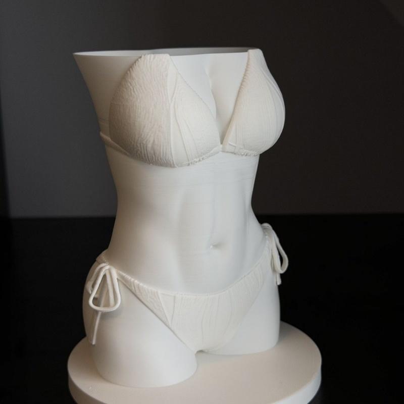 NEW Bikini Body Pen Holder 3D  - 3D Printing Pot review and price