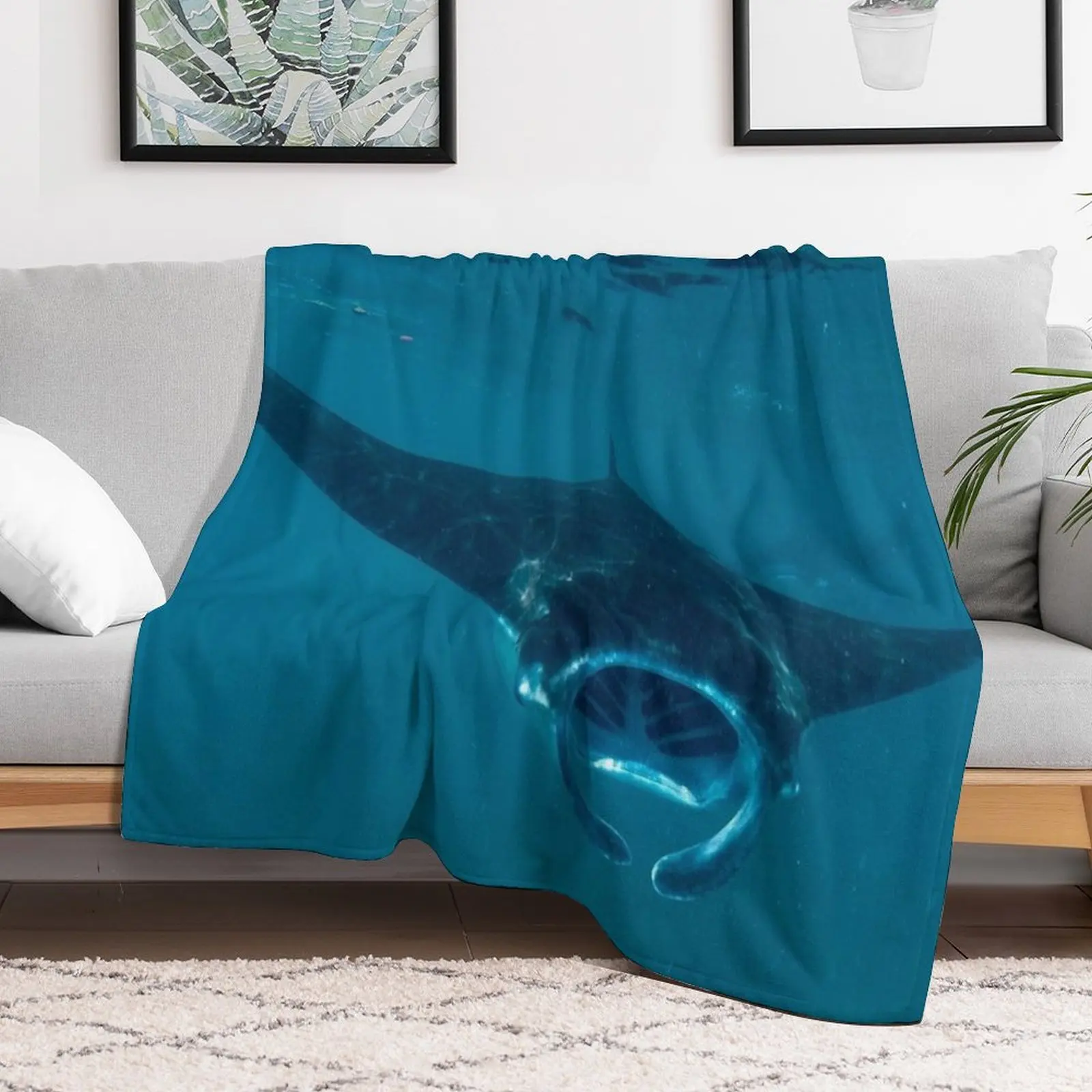 Curious Manta Ray At Crystal B - 3D Printing Bali review and price