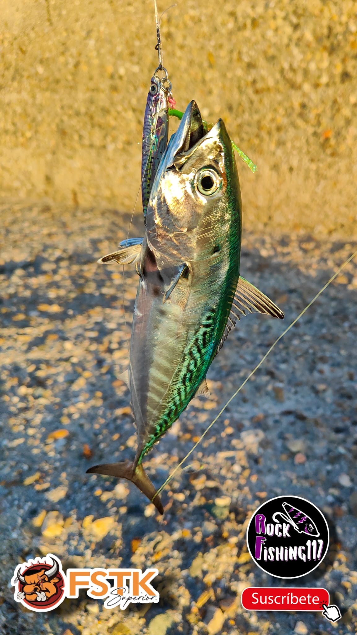 FSTK Metal Jig Offshore Jiggin - 3D Printing Lure review and price
