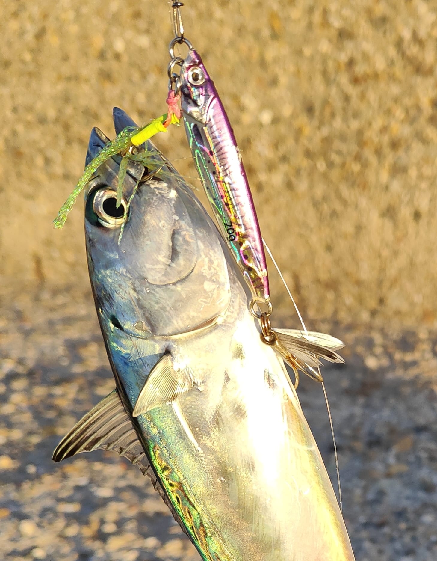 FSTK Metal Jig Offshore Jiggin - 3D Printing Lure review and price