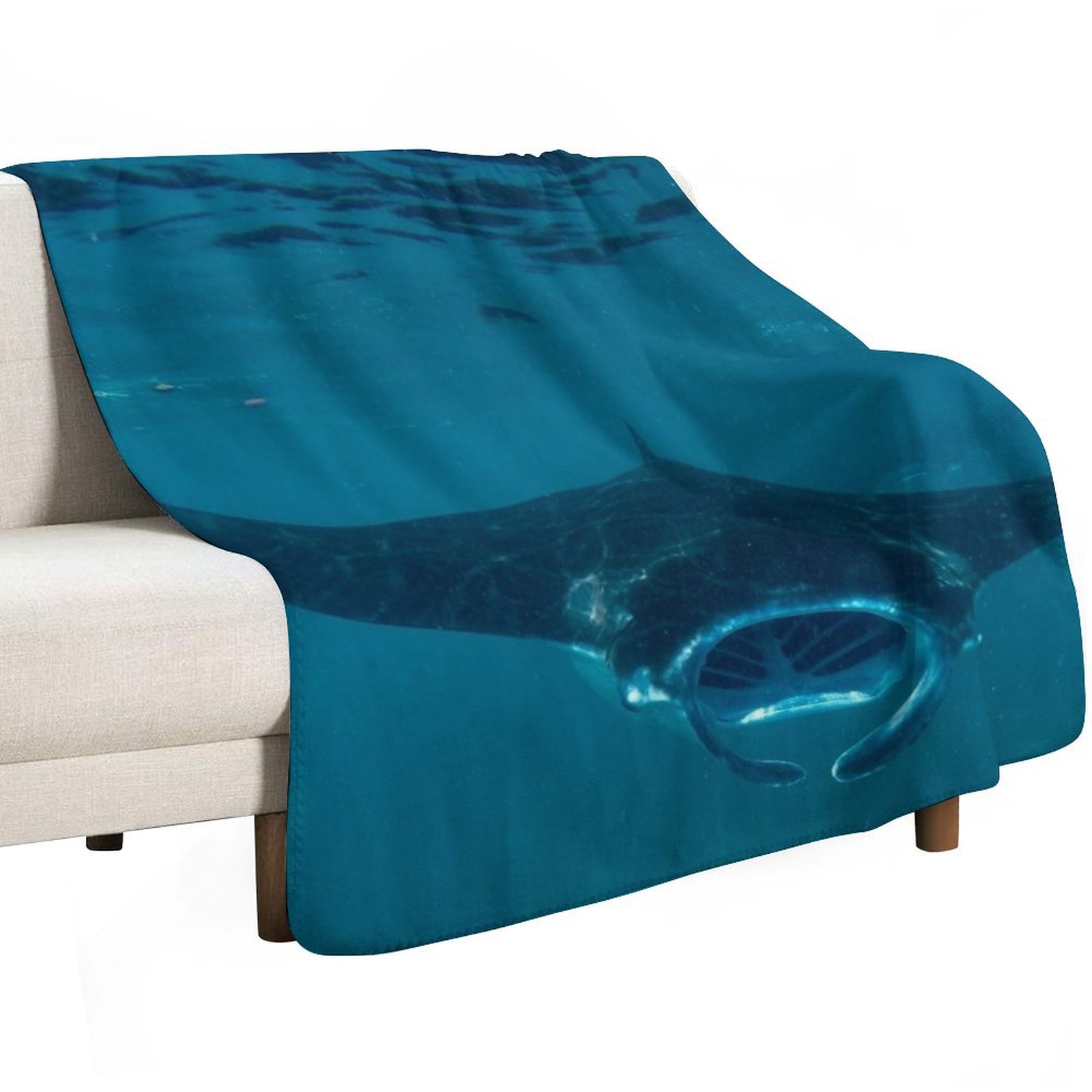 Curious Manta Ray At Crystal B - 3D Printing Bali review and price