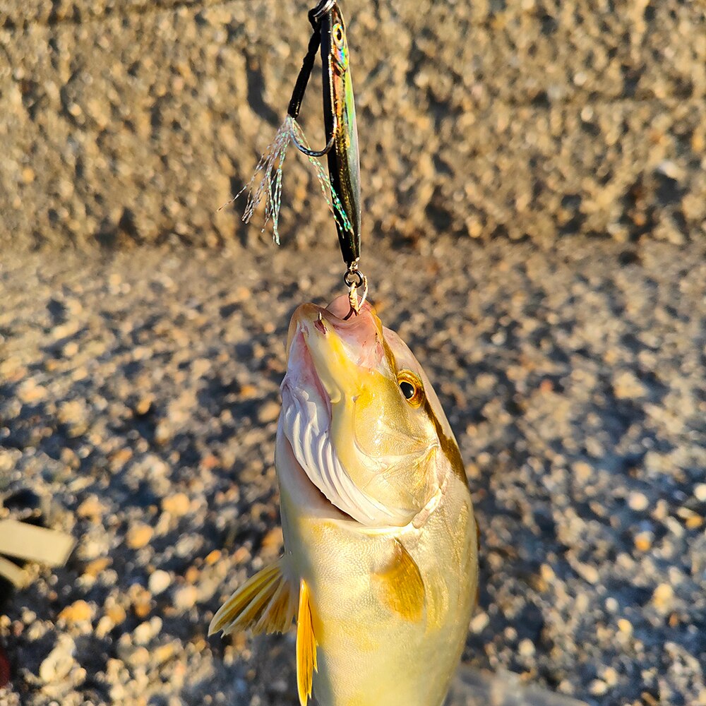 Metal Jig Fishing Lure 10g 20g - 3D Printing Lure review and price