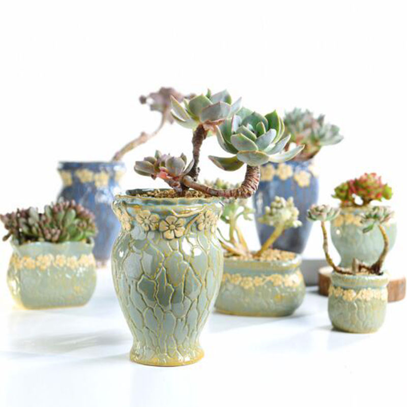 Succulent Plants Flowerpot Sma - 3D Printing Pot review and price
